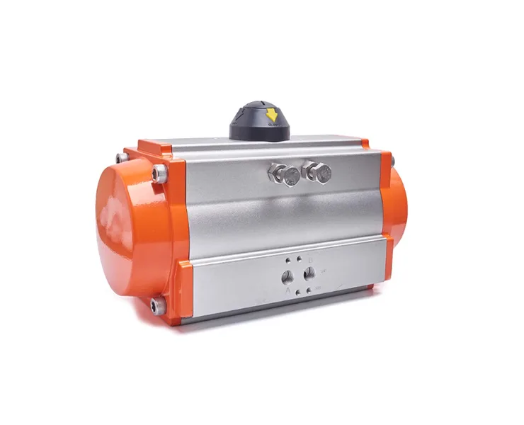 Pneumatic Actuator